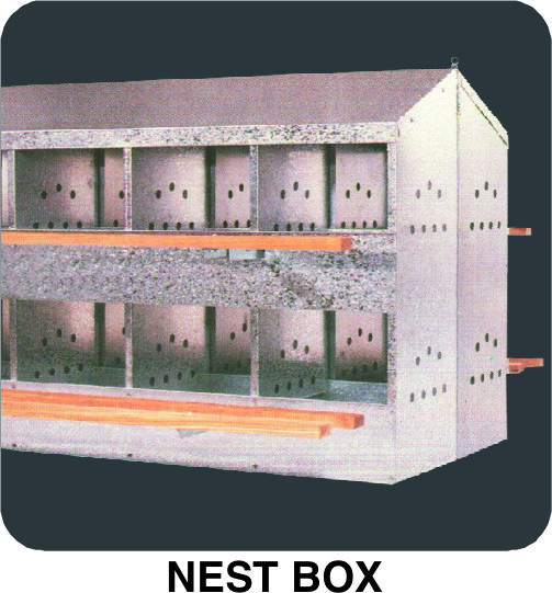 nest box